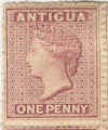 ant631dA.jpg (19917 bytes)