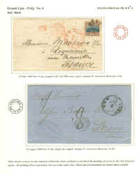 FL12.jpg (276975 bytes)