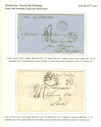 FL15.jpg (283957 bytes)