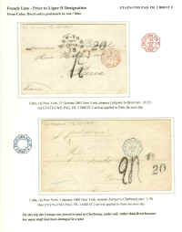 FL3.jpg (279537 bytes)