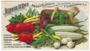 2057.jpg (2160450 bytes)