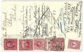 2239.jpg (1556001 bytes)