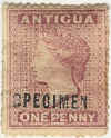 ant63specimen.jpg (18223 bytes)