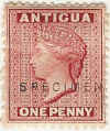 ant721pD5.jpg (22653 bytes)