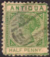 antfakeF.jpg (49719 bytes)